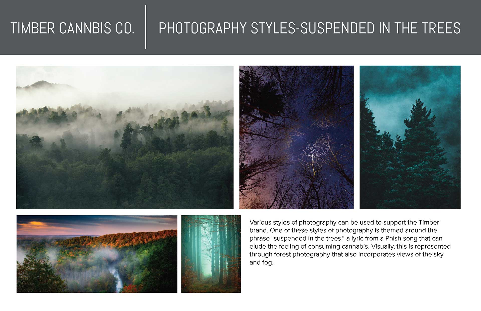022620-Timber-Cannabis-Co-Branding-Moodboards_Page_14