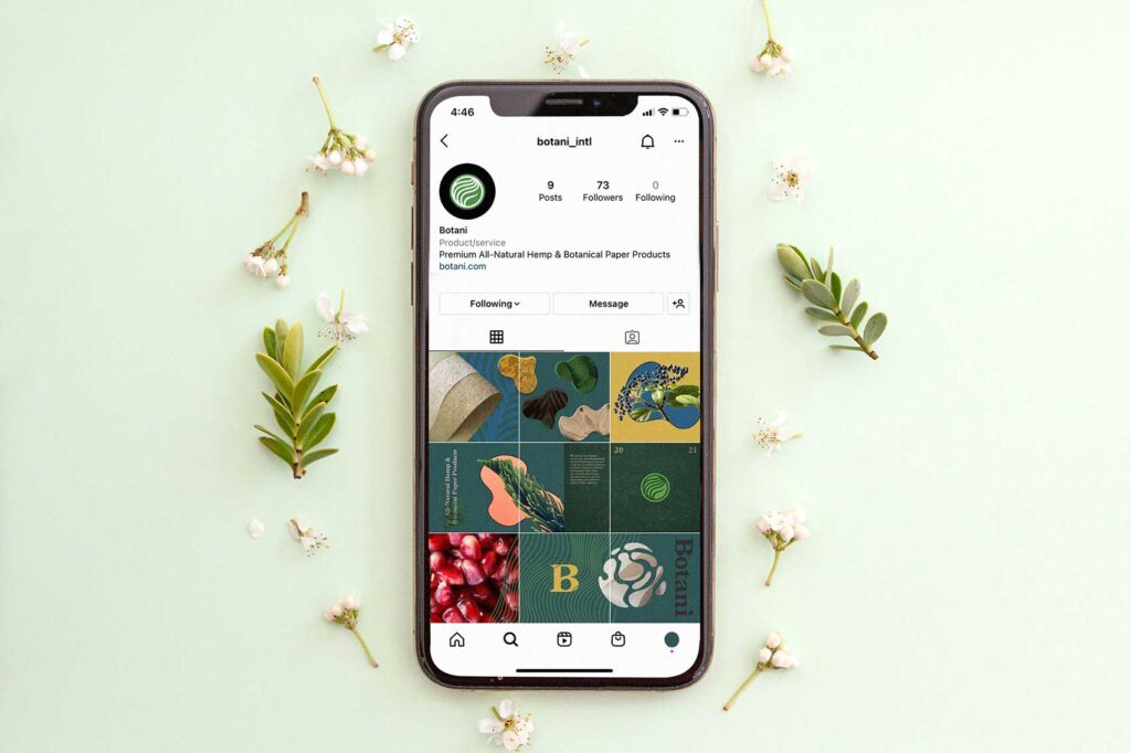 botani-instagram-feed
